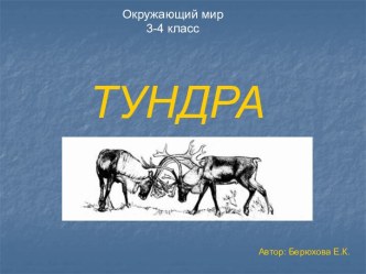 Тундра