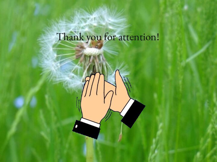 Thank you for attention!