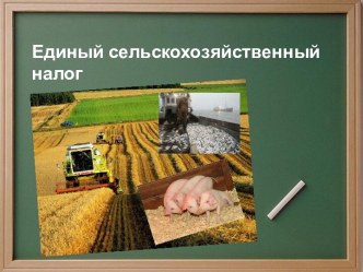 Единый сельскохозяйственный налог