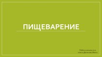 Процесс пищеварения