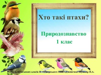 Кто такие птицы?