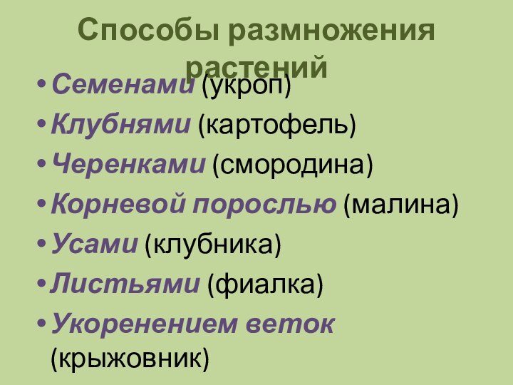 Способы размножения растенийСеменами (укроп)Клубнями (картофель)Черенками (смородина)Корневой порослью (малина)Усами (клубника)Листьями (фиалка)Укоренением веток (крыжовник)