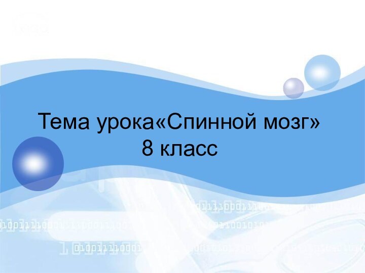 Тема урока«Спинной мозг» 8 класс