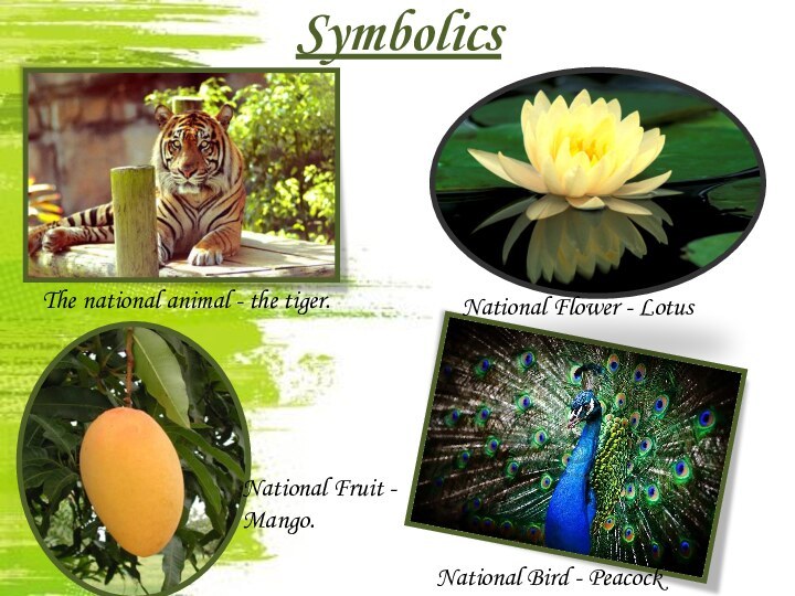 SymbolicsThe national animal - the tiger. National Bird - PeacockNational Flower - LotusNational Fruit - Mango.