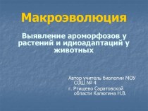 Макроэволюция. Выявление ароморфозов у растений и идиоадаптаций