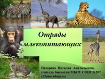 Отряды млекопитающих