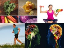Healthy brain, healthy bodythe plan of the lesson