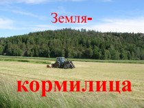 Какая почва в республике Мордовия?