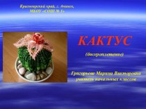 Кактус