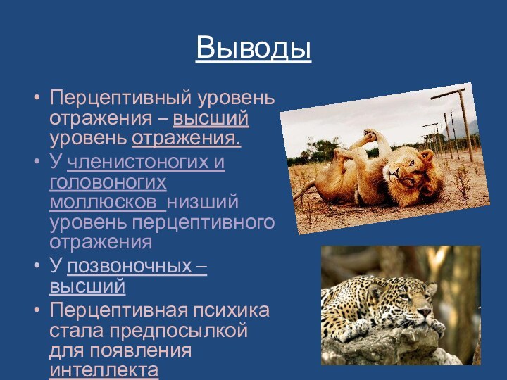 ВыводыПерцептивный уровень отражения – высший уровень отражения.У членистоногих и головоногих моллюсков низший