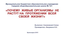 Почему живые организмы не растут на протяжении всей своей жизни