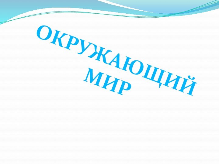 ОКРУЖАЮЩИЙ  МИР