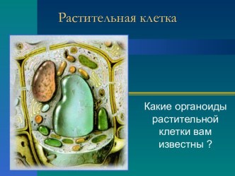 Растительная клетка