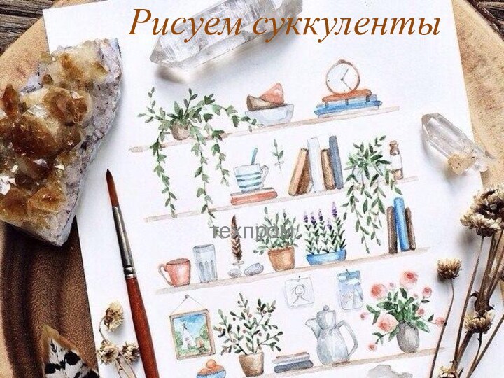 Рисуем суккулентытехпром