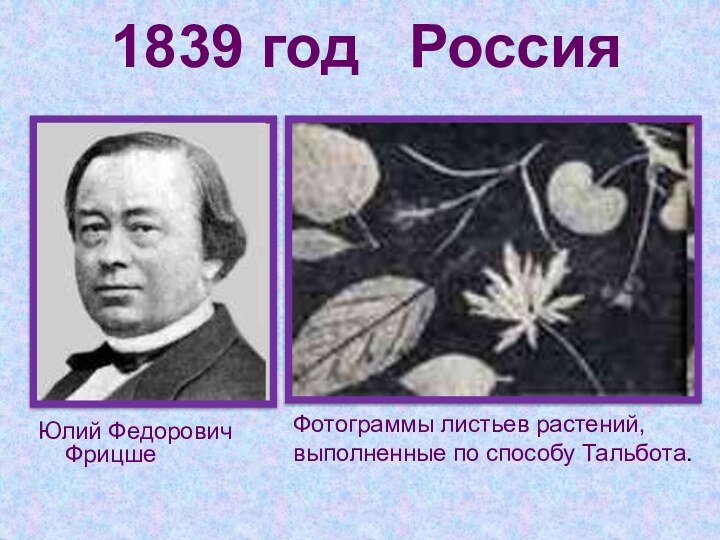 1839 год  РоссияЮлий Федорович ФрицшеФотограммы листьев растений, выполненные по способу Тальбота.