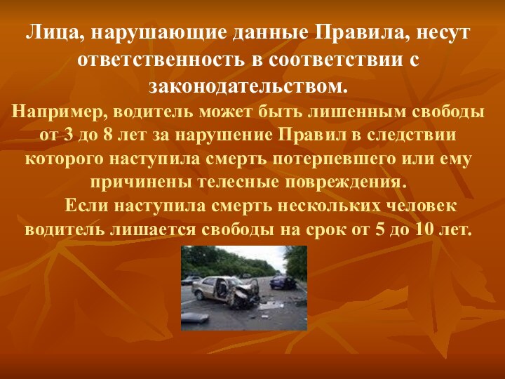 Лица, нарушающие данные Правила, несут ответственность в соответствии с законодательством. Например, водитель