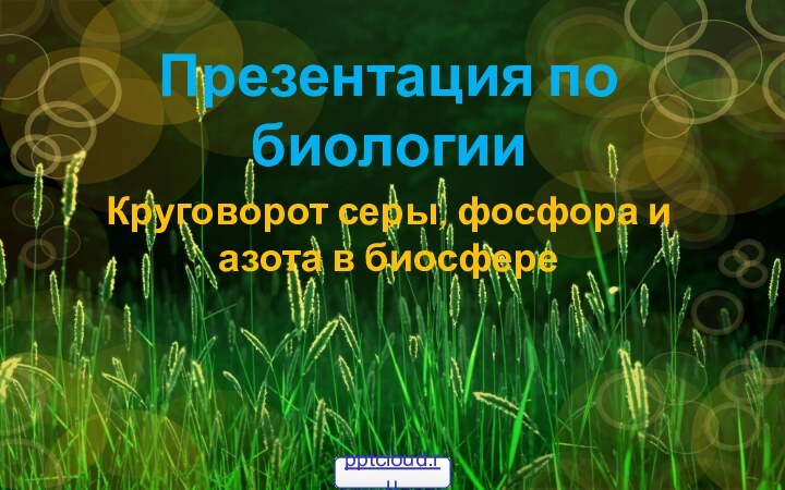 Презентация по биологииКруговорот серы, фосфора и азота в биосфере