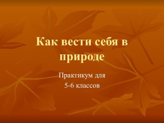 Правила поведения в природе