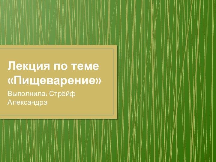 Лекция по теме «Пищеварение»Выполнила: Стрёйф Александра