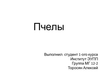 Пчелы