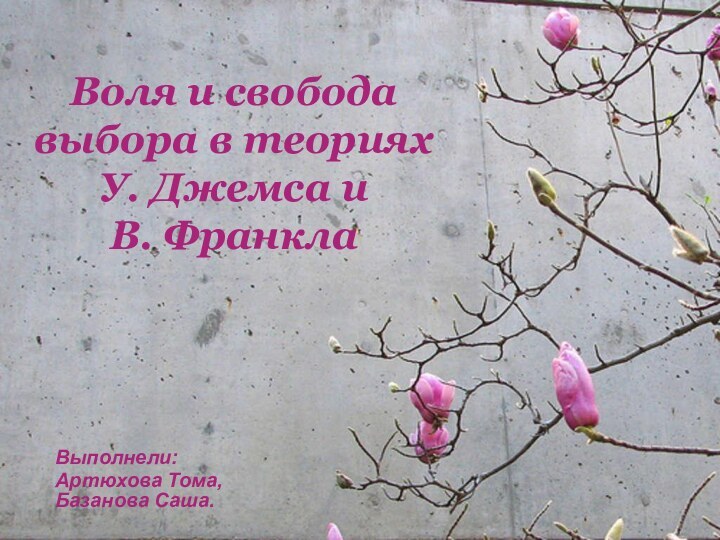 Воля и свобода выбора в теориях У. Джемса и  В. ФранклаВыполнели:Артюхова Тома, Базанова Саша.