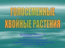 Голосеменные хвойные растения