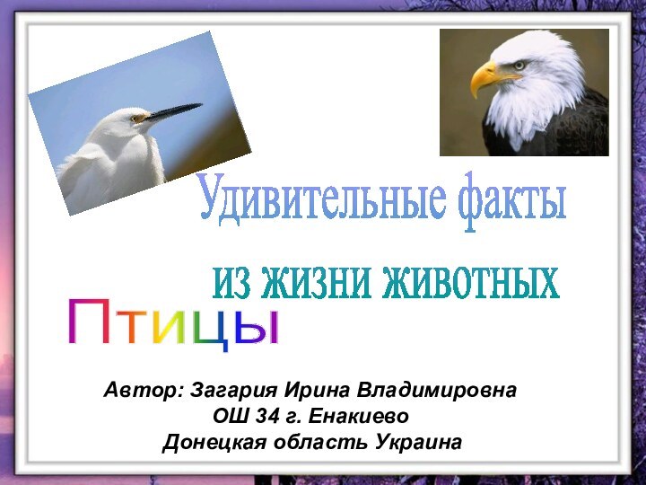 Автор: Загария Ирина Владимировна ОШ 34 г. Енакиево  Донецкая область УкраинаУдивительные факты из жизни животныхПтицы