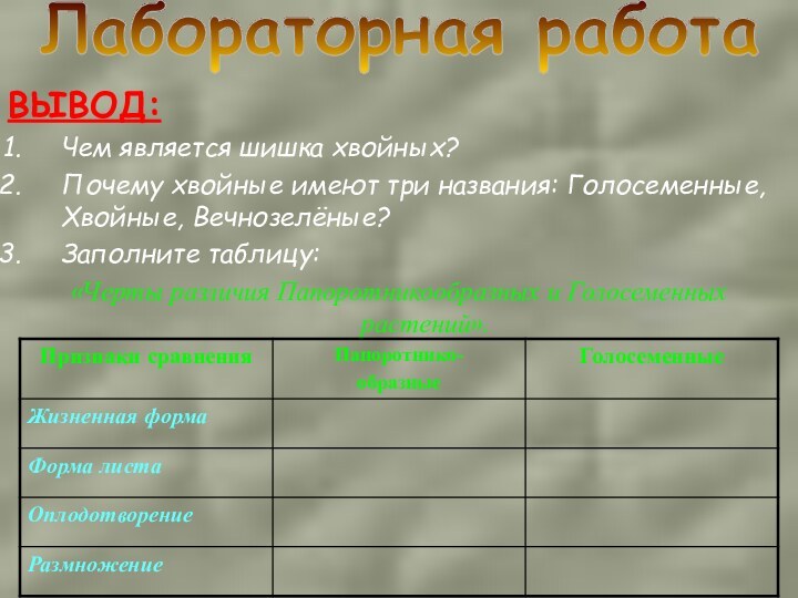 ВЫВОД: Чем является шишка хвойных?Почему хвойные имеют три названия: Голосеменные, Хвойные, Вечнозелёные?Заполните