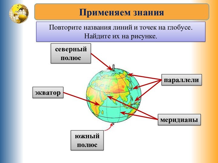 Применяем знанияПовторите названия линий и точек на глобусе. Найдите их на рисунке.северныйполюсэкваторпараллелиюжныйполюсмеридианы