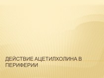 Действие ацетилхолина в периферии