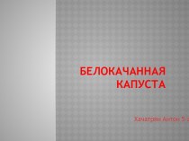 Капуста белокачанная