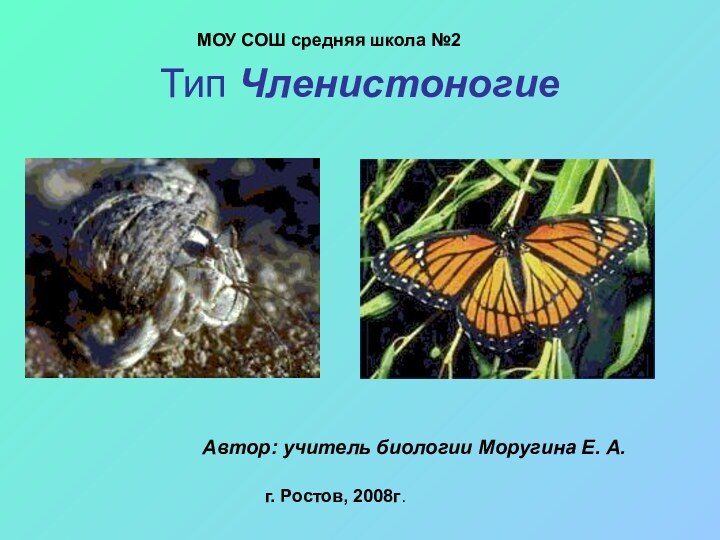 Тип ЧленистоногиеМОУ СОШ средняя школа №2Автор: учитель биологии Моругина Е. А.г. Ростов, 2008г.