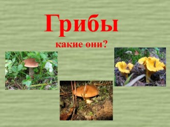 Грибы какие они?