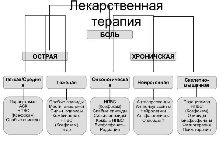 Лекарственная терапия