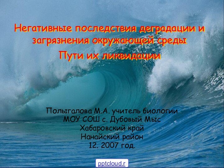 Негативные последствия деградации и загрязнения окружающей среды Пути их ликвидации  Полыгалова