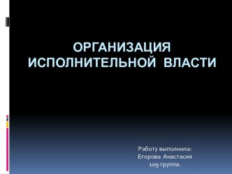 Организация исполнительной власти