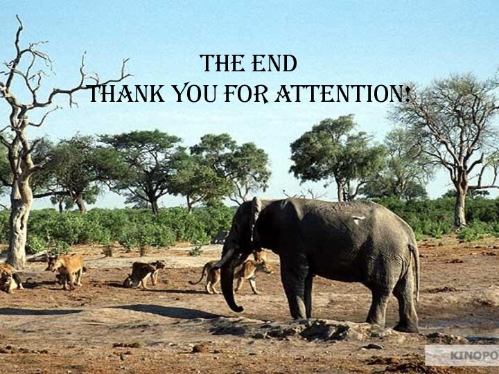 The endThank you for attention!