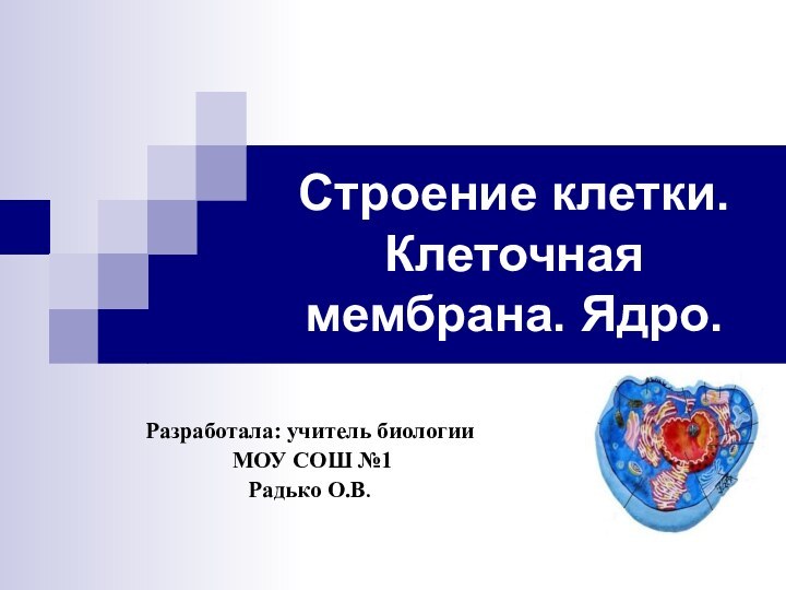 Строение клетки. Клеточная мембрана. Ядро.Разработала: учитель биологии МОУ СОШ №1 Радько О.В.