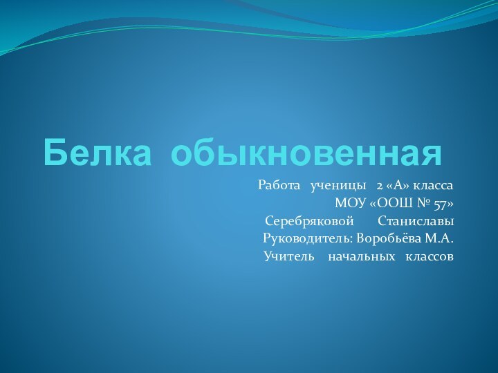 Белка обыкновеннаяРабота  ученицы  2 «А» классаМОУ «ООШ № 57»Серебряковой