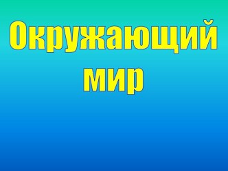 Бюджет доходов и расходов