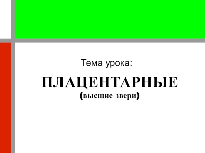 Тема урока:ПЛАЦЕНТАРНЫЕ(высшие звери)