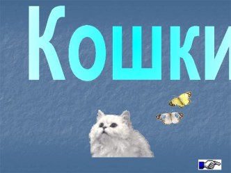 Кошки