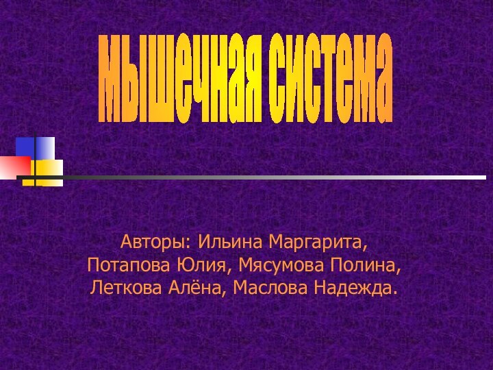 Авторы: Ильина Маргарита, Потапова Юлия, Мясумова Полина, Леткова Алёна, Маслова Надежда.мышечная система