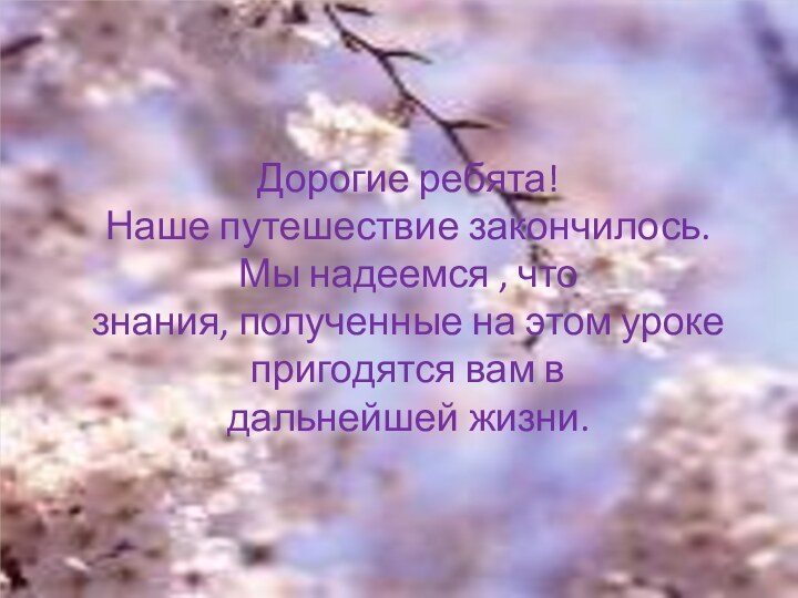 Дорогие ребята!Наше путешествие закончилось. Мы надеемся , что знания, полученные на этом