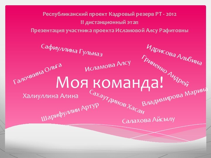 Моя команда!Республиканский проект Кадровый резерв РТ - 2012II дистанционный этапПрезентация участника проекта