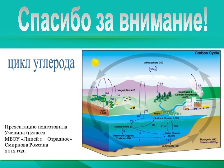 Спасибо за внимание!цикл углеродаПрезентацию подготовилаУченица 9 классаМБОУ «Лицей г.  Отрадное»Смирнова Роксана2012 год.