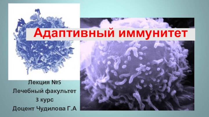 Лекция №5Лечебный факультет 3 курсДоцент Чудилова Г.ААдаптивный иммунитет