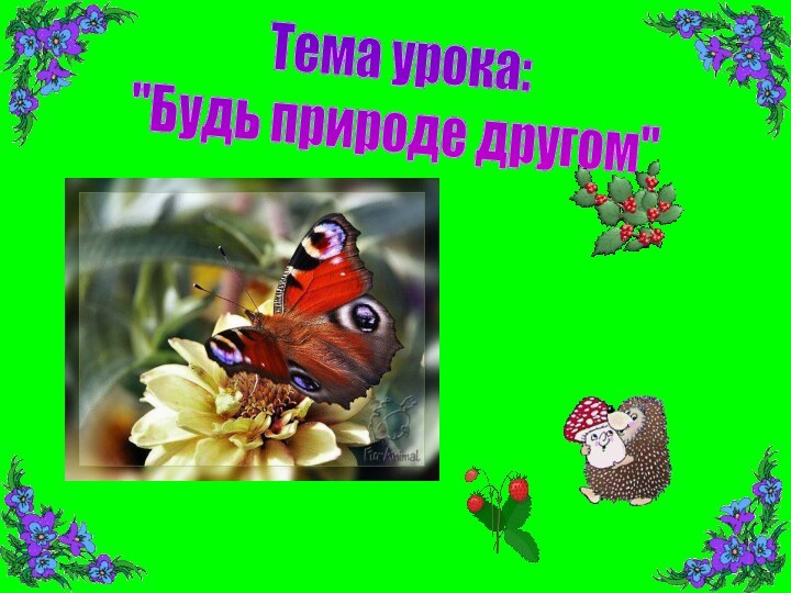 Тема урока: 