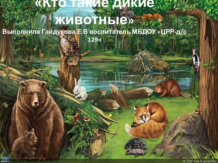 «Кто такие дикие животные» Выполнила Гайдукова Е.В воспитатель МБДОУ «ЦРР-д/с 129»