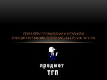 Принципы организации и механизм функционирования исполнительной власти в РФ